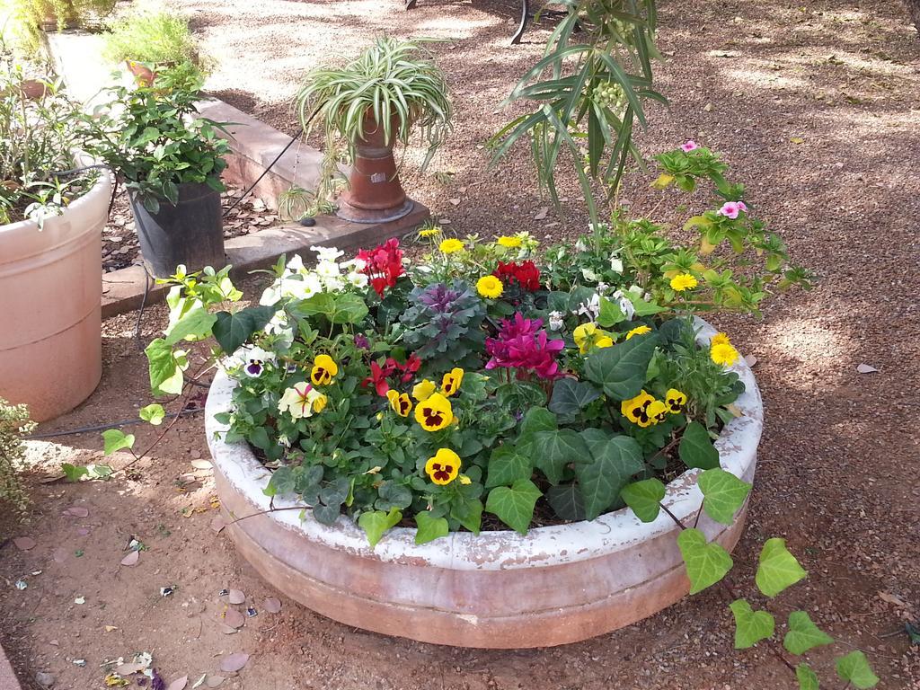 Sam Hughes Inn B&B Tucson Eksteriør bilde