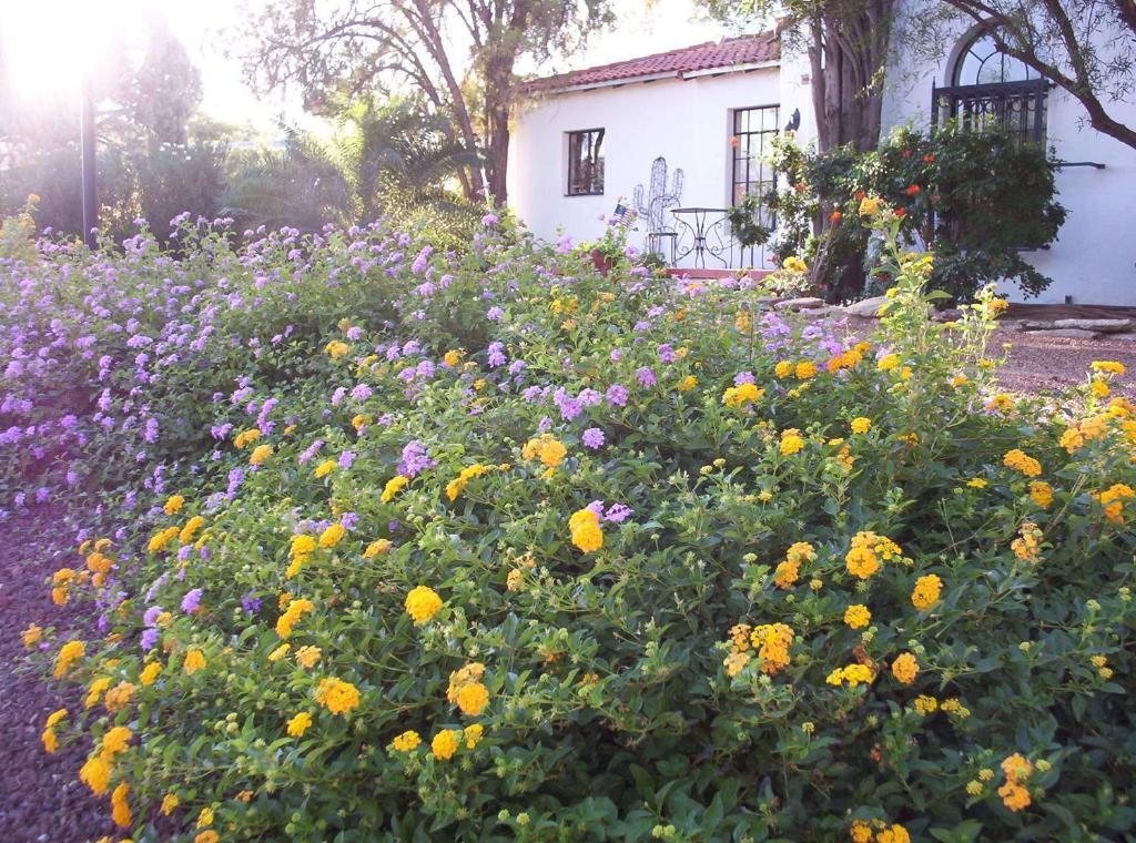 Sam Hughes Inn B&B Tucson Eksteriør bilde